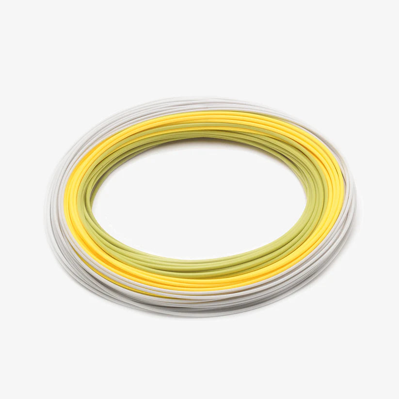 Elite RIO Gold