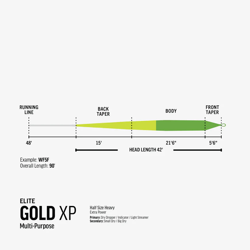 Elite RIO Gold XP
