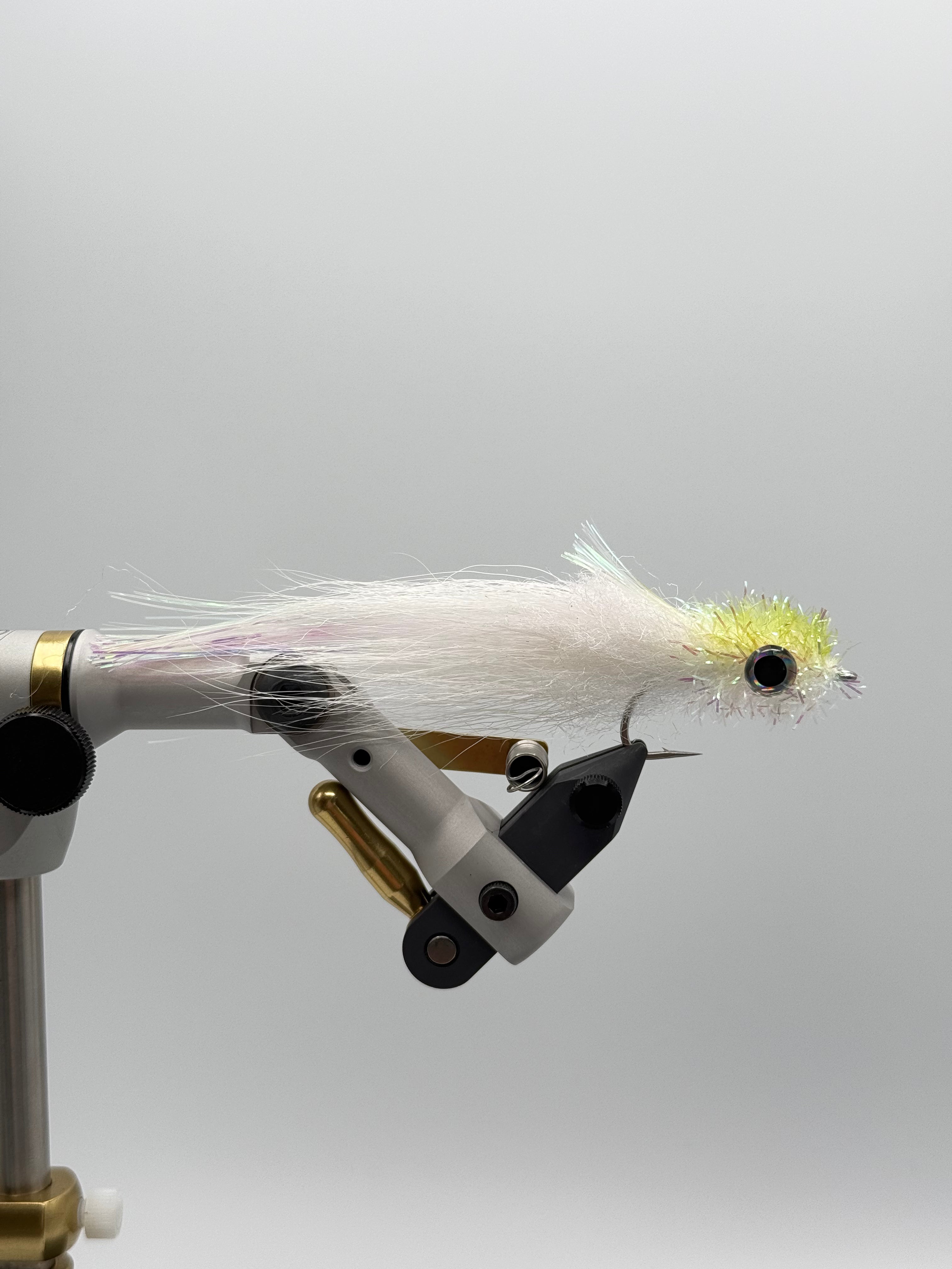 Murdich Minnow