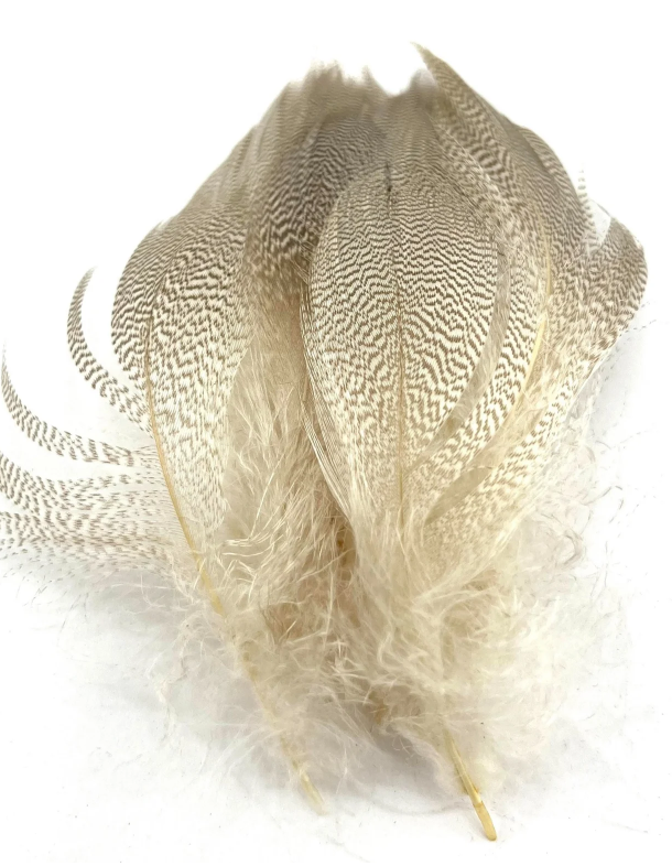 Mallard Spey Flank