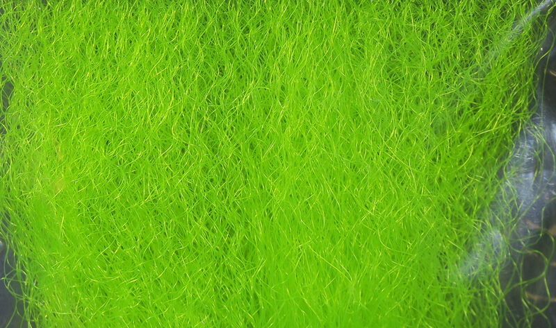 Strung Fuzzy Fiber