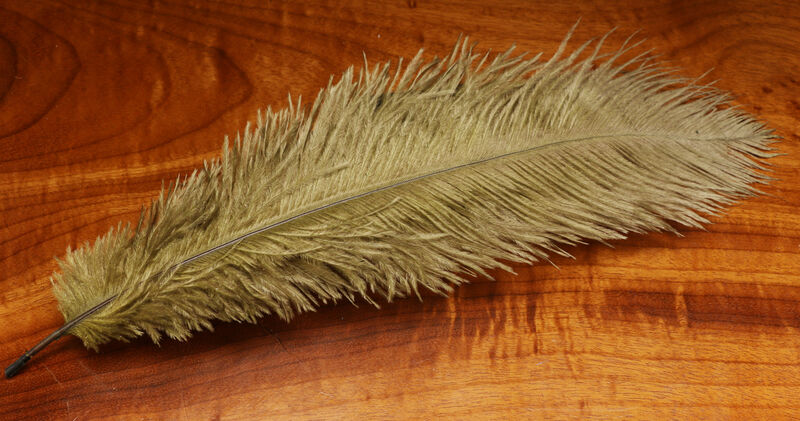 Ostrich Herl