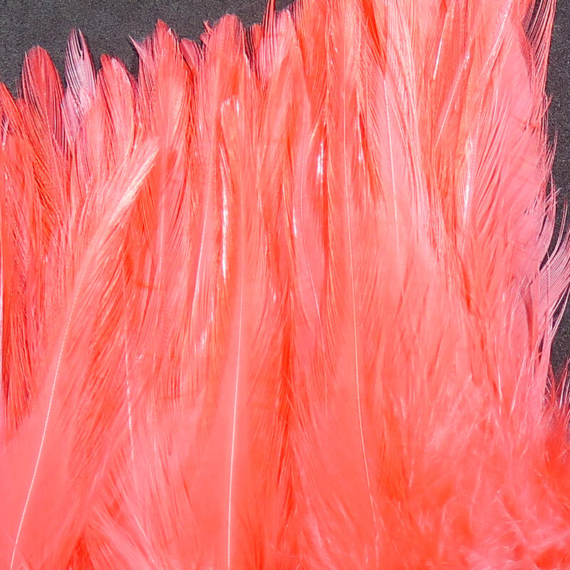 Strung Saddle Hackle